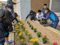 鉾田市役所花壇つくり