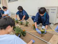 鉾田市役所花壇つくり