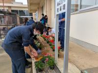 鉾田市役所花壇つくり