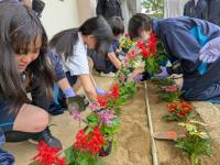 鉾田市役所花壇つくり
