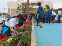 鉾田市役所花壇つくり